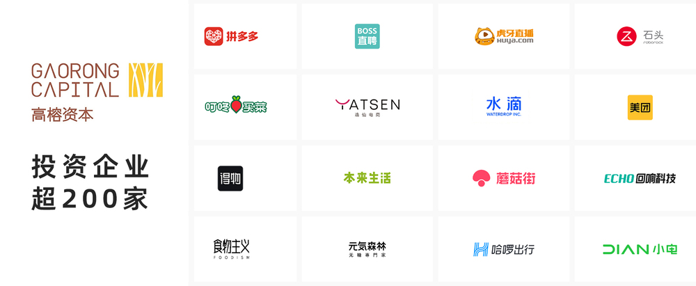 高榕资本张震:这是最坏的时代,也是最适合投资的时代 - 中投华创-不辜负每个创业梦想